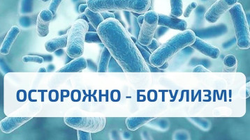 Профилактика ботулизма Профилактика ботулизма.